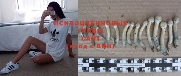 мефедрон Гусиноозёрск