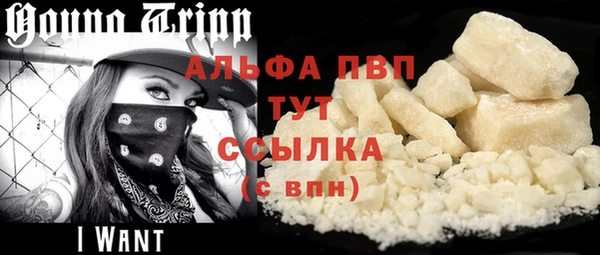 гидра Алексеевка